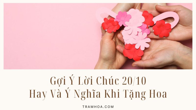 Gợi Ý Lời Chúc 20-10 Hay Và Ý Nghĩa Khi Tặng Hoa