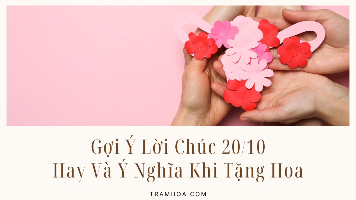 Gợi Ý Lời Chúc 20-10 Hay Và Ý Nghĩa Khi Tặng Hoa