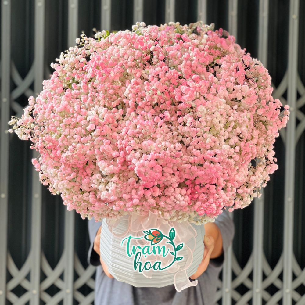 Hoa tone hồng tạo cảm giác dịu dàng, thanh lịch phù hợp tặng bạn gái, đồng nghiệp