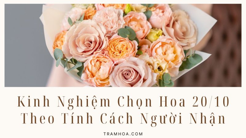 Kinh Nghiệm Chọn Hoa 20/10 Theo Tính Cách Người Nhận