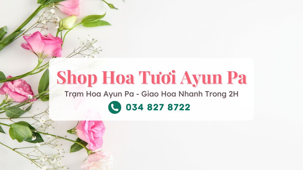 Shop Hoa Tươi Ayun Pa Gia Lai - Trạm Hoa Ayun Pa
