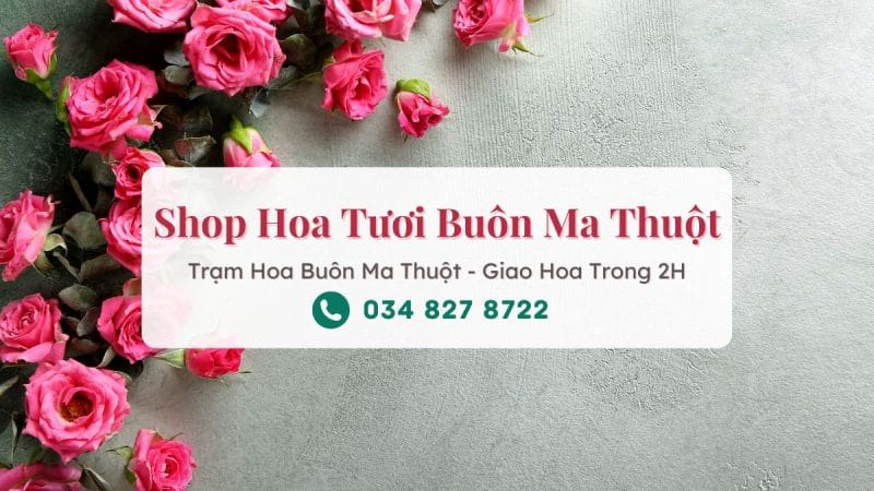 Shop Hoa Tươi Buôn Ma Thuột Đăk Lăk - Trạm Hoa Buôn Ma Thuột