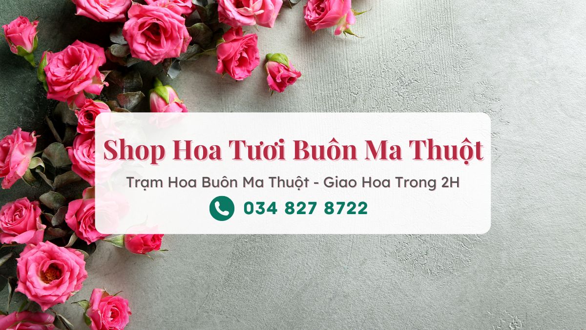 Shop Hoa Tươi Buôn Ma Thuột Đăk Lăk - Trạm Hoa Buôn Ma Thuột