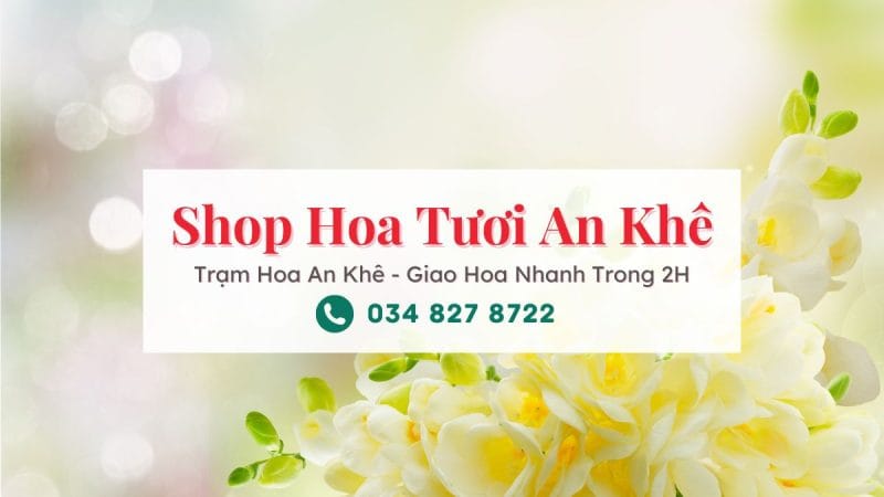 Shop hoa tươi An Khê Gia Lai - Trạm Hoa An Khê