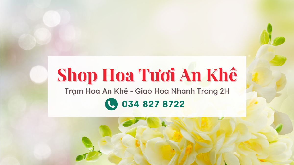 Shop hoa tươi An Khê Gia Lai - Trạm Hoa An Khê