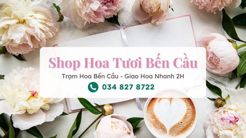 Shop hoa tươi Bến Cầu - Trạm Hoa Bến Cầu