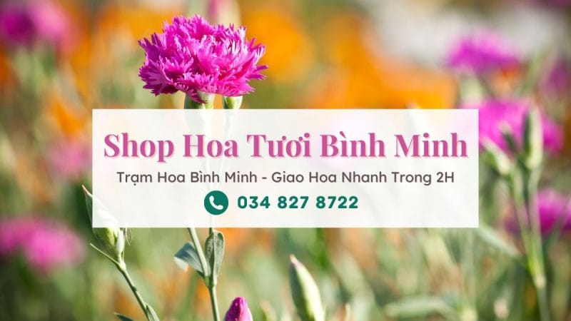 Shop hoa tươi Bình Minh Vĩnh Long - Trạm Hoa Bình Minh