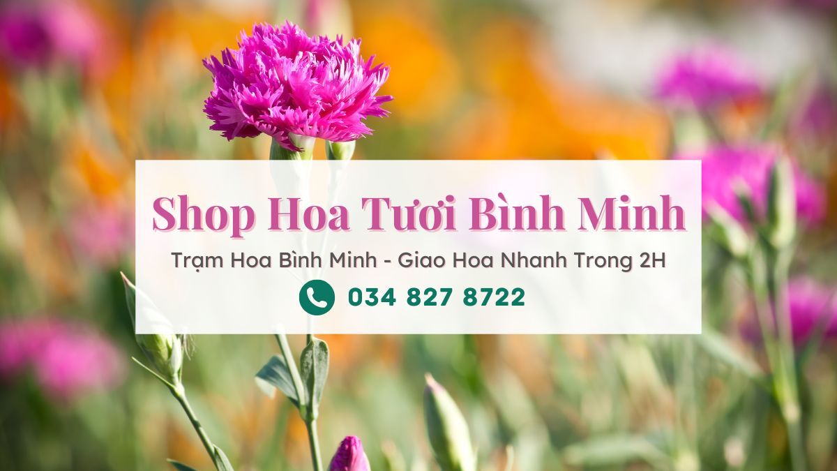 Shop hoa tươi Bình Minh Vĩnh Long - Trạm Hoa Bình Minh