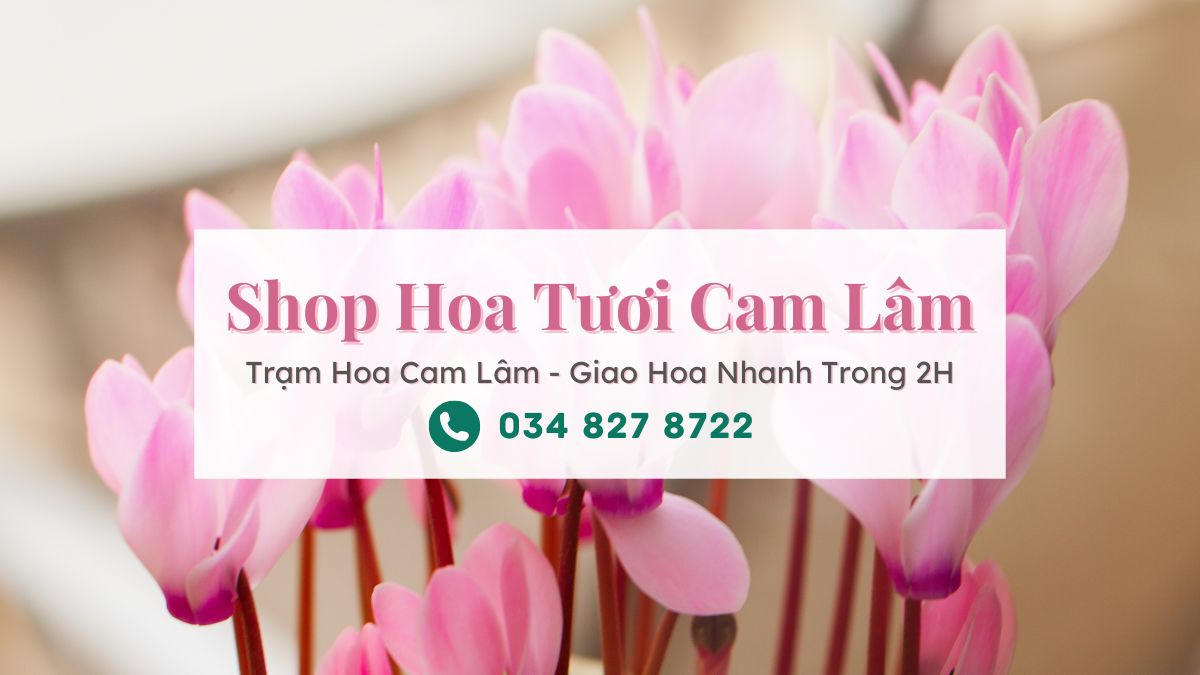 Shop hoa tươi Cam Lâm - Trạm Hoa Cam Lâm