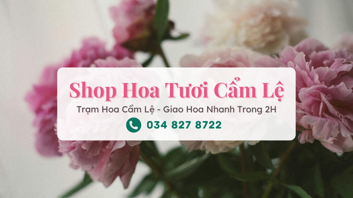 Shop hoa tươi Cẩm Lệ Đà Nẵng - Trạm Hoa Cẩm Lệ