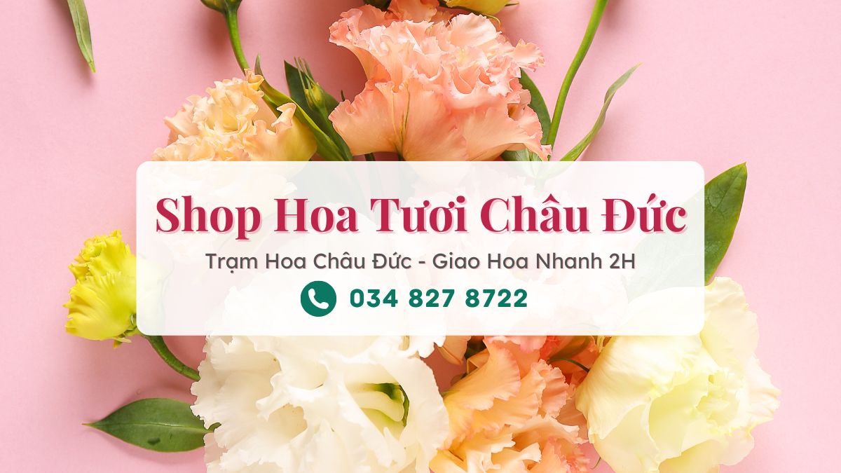 Shop hoa tươi Châu Đức - Trạm Hoa Châu Đức
