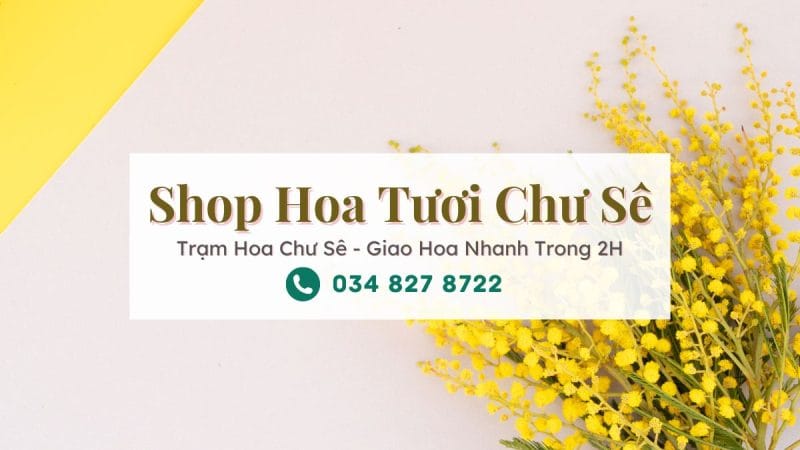 Shop hoa tươi Chư Sê Gia Lai - Trạm Hoa Chư Sê