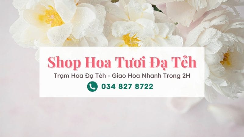 Shop hoa tươi Đạ Tẻh - Trạm Hoa Đạ Tẻh