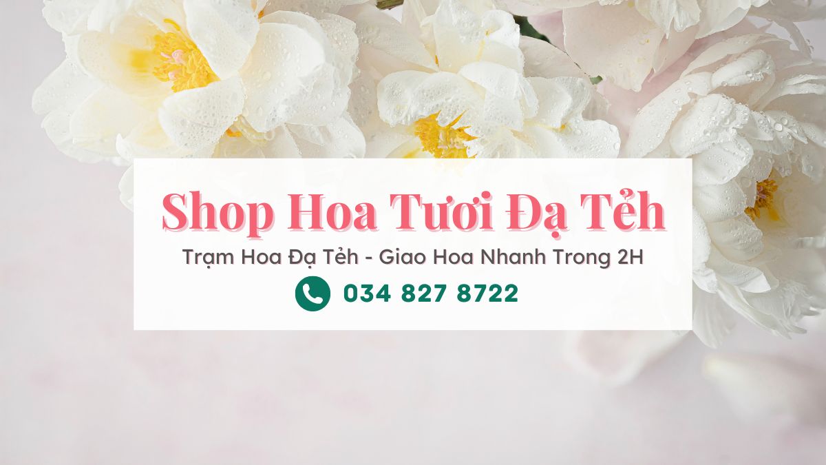Shop hoa tuoi Da Teh Tram Hoa Da Teh Shop hoa tươi Đạ Tẻh - Trạm Hoa Đạ Tẻh