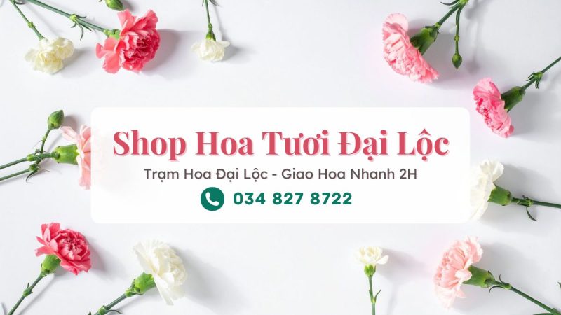Shop hoa tươi Đại Lộc - Trạm Hoa Đại Lộc cung cấp dịch vụ điện hoa uy tín, giao tận nơi