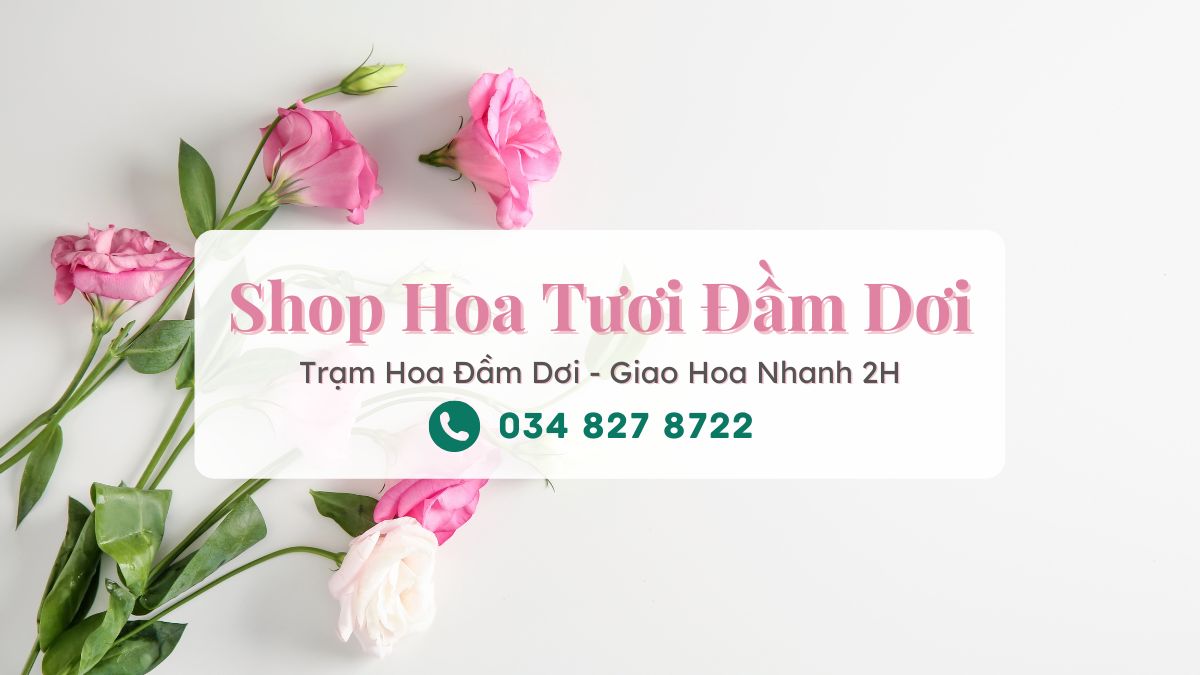 Shop hoa tươi Đầm Dơi Cà Mau - Trạm Hoa Đầm Dơi