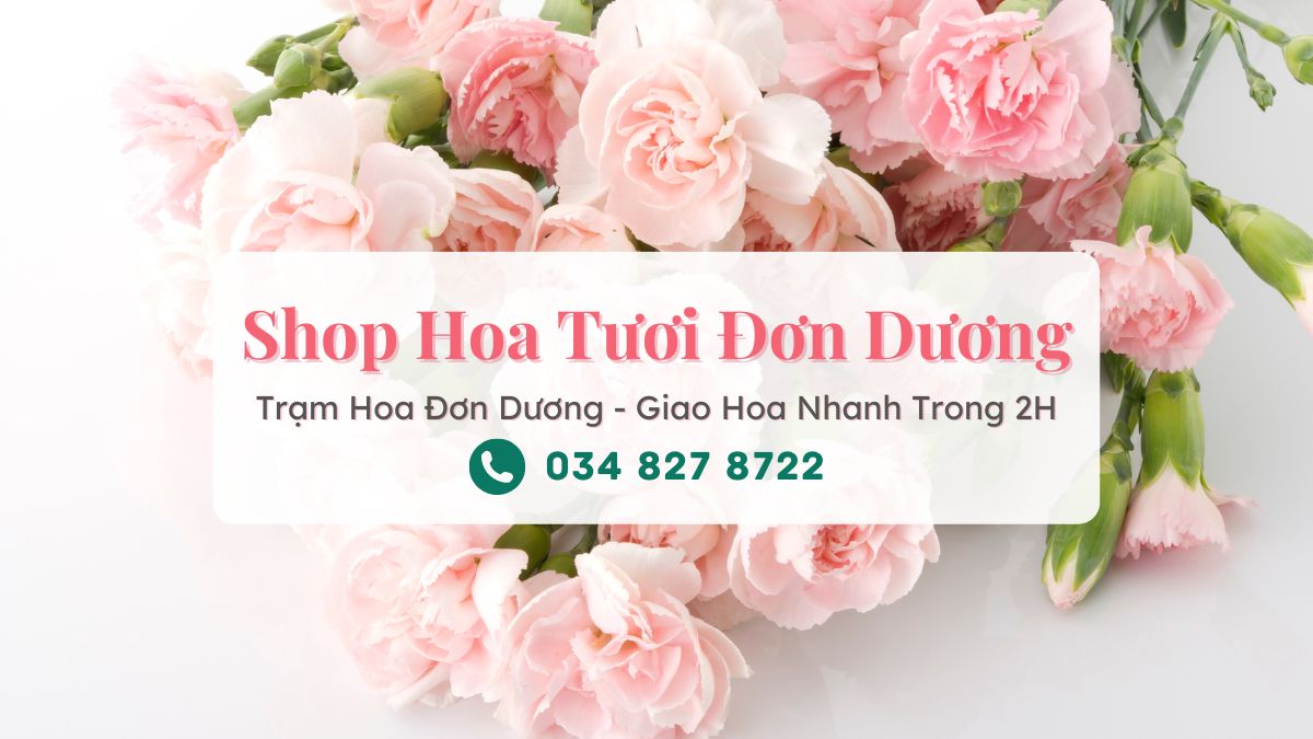 Shop hoa tươi Đơn Dương Lâm Đồng - Điện hoa Đơn Dương