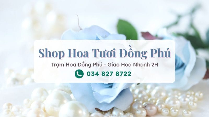 Shop hoa tươi Đồng Phú - Trạm Hoa Đồng Phú
