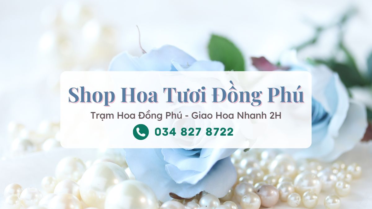Shop hoa tuoi Dong Phu Tram Hoa Dong Phu Shop hoa tươi Đồng Phú - Trạm Hoa Đồng Phú
