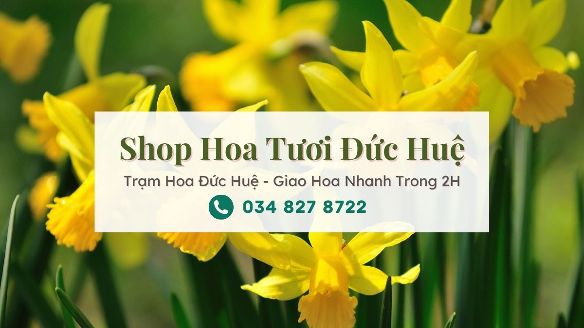 Shop hoa tươi Đức Huệ - Trạm Hoa Đức Huệ