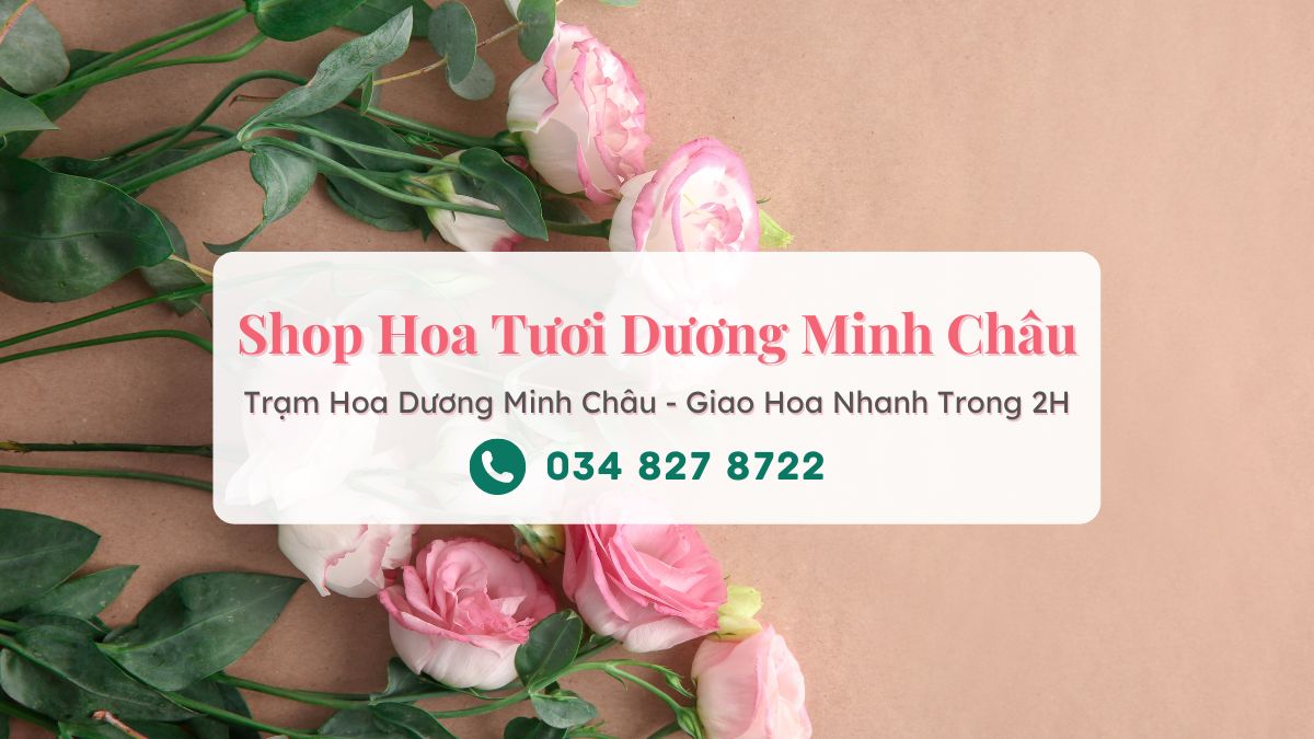 Shop hoa tươi Dương Minh Châu Tây Ninh - Trạm Hoa Dương Minh Châu
