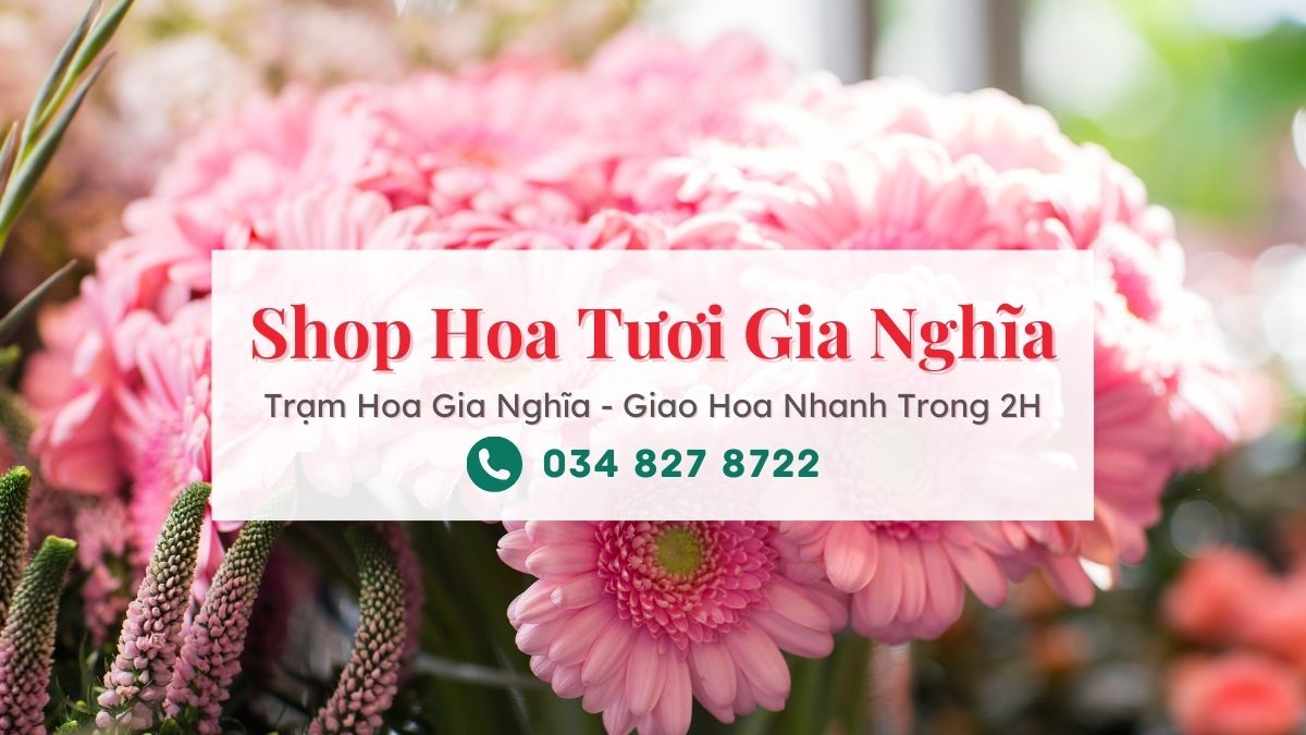 Shop hoa tươi Gia Nghĩa - Trạm Hoa Gia Nghĩa
