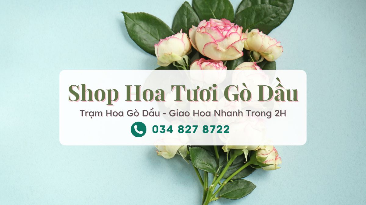 Shop hoa tươi Gò Dầu Tây Ninh - Trạm Hoa Gò Dầu