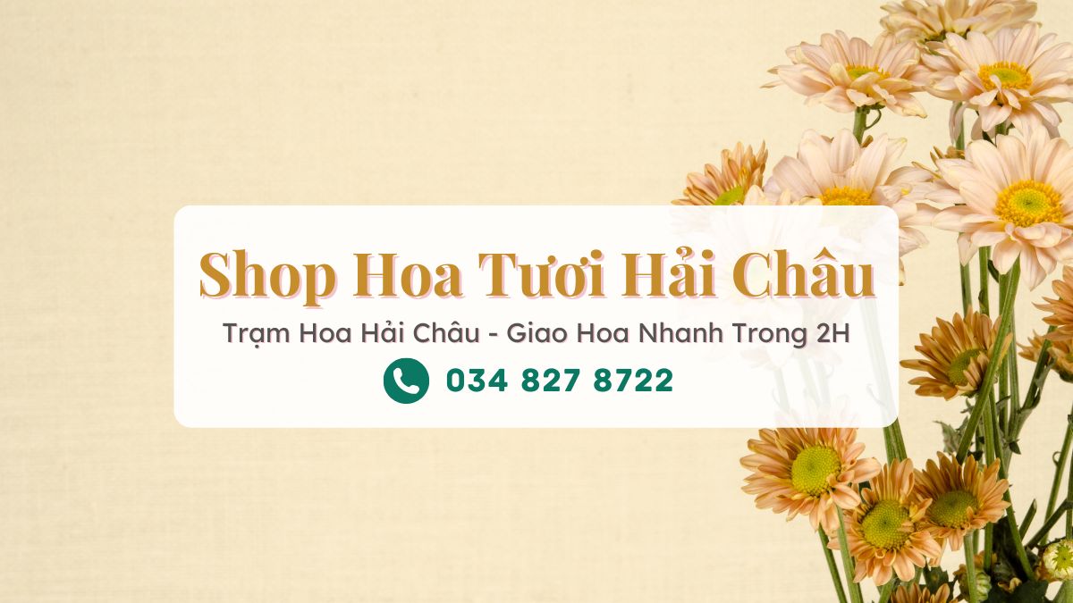 Shop hoa tươi Hải Châu Đà Nẵng - Trạm Hoa Hải Châu