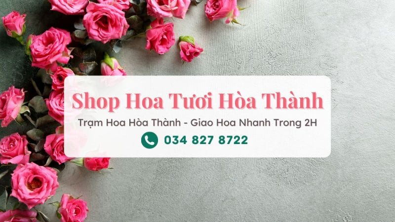 Shop hoa tươi Hòa Thành Tây Ninh - Trạm Hoa Hòa Thành