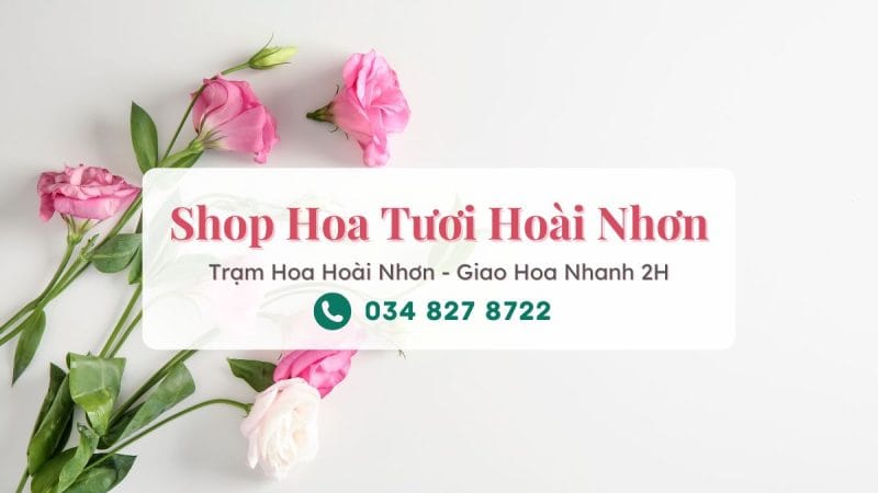 Shop hoa tươi Hoài Nhơn - Trạm Hoa Hoài Nhơn