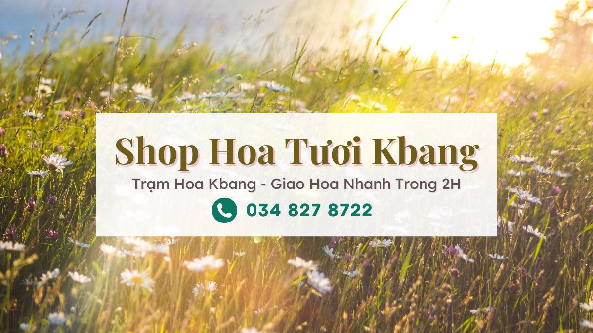 Shop hoa tươi Kbang Gia Lai - Trạm Hoa Kbang