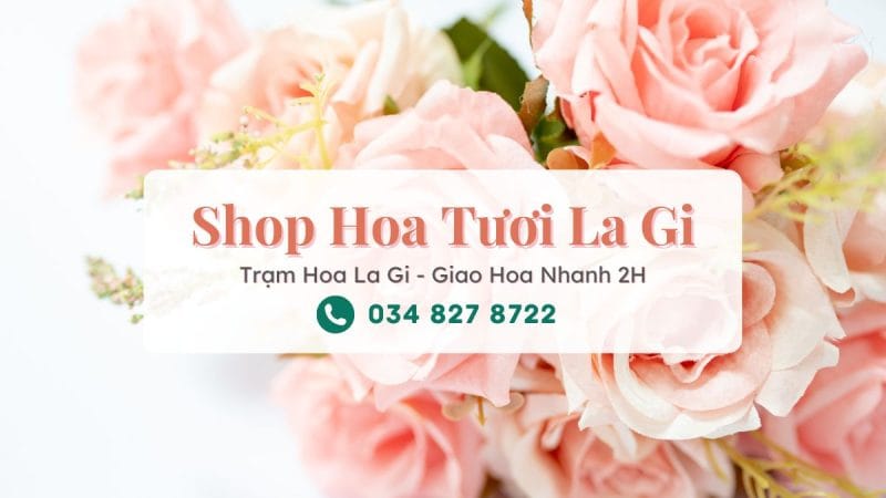 Shop hoa tươi La Gi - Trạm Hoa La Gi