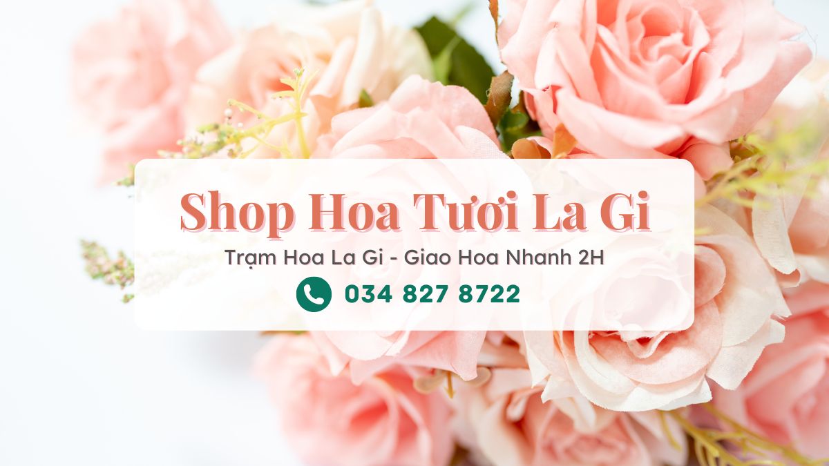 Shop hoa tươi La Gi - Trạm Hoa La Gi