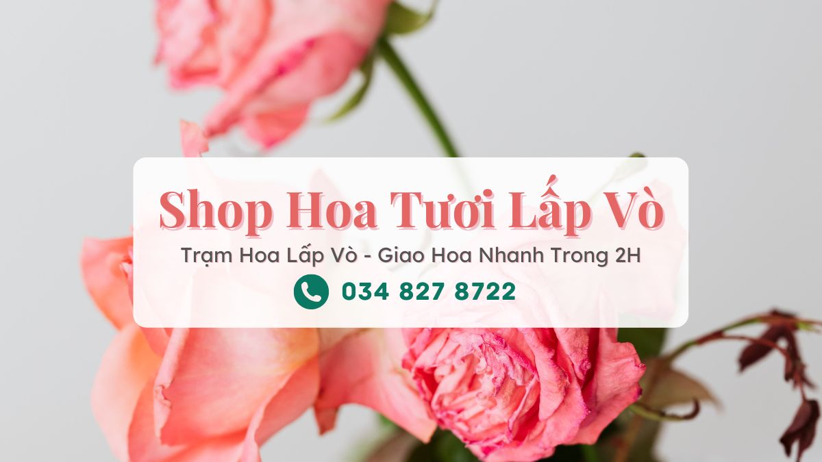 Shop hoa tươi Lấp Vò Đồng Tháp - Trạm Hoa Lấp Vò