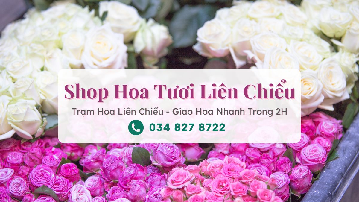 Shop hoa tươi Liên Chiểu Đà Nẵng - Trạm Hoa Liên Chiểu