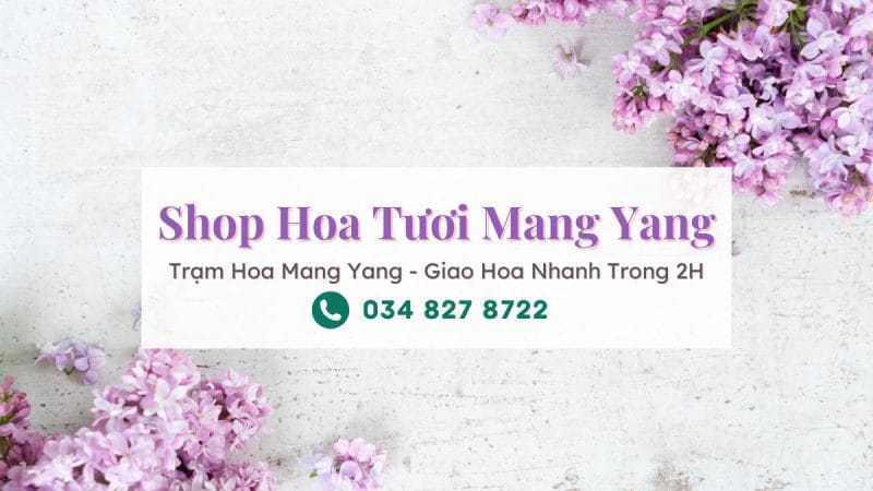 Shop hoa tươi Mang Yang Gia Lai - Trạm Hoa Mang Yang