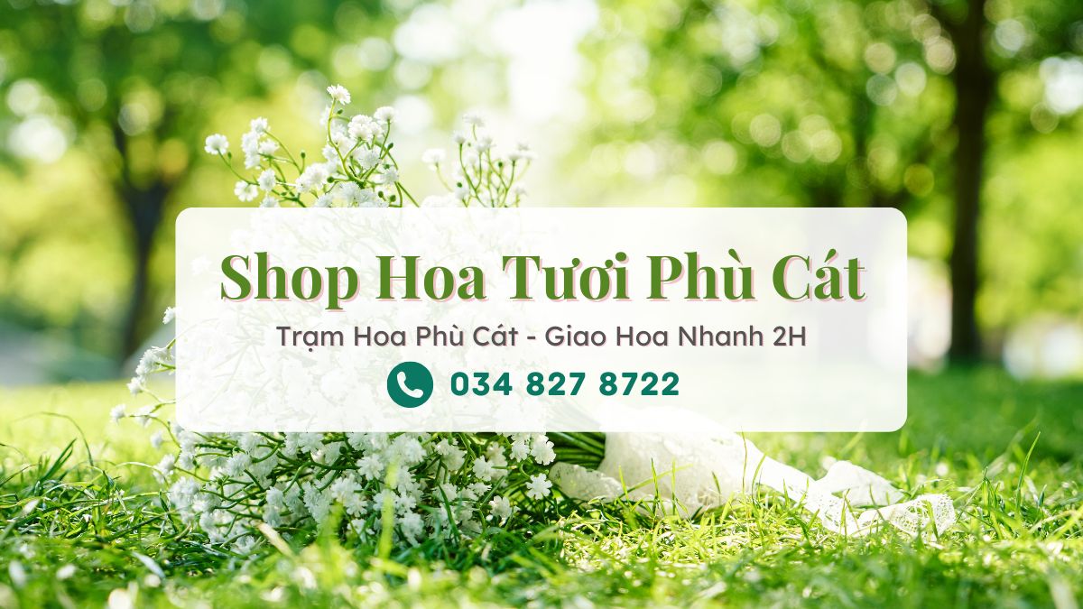 Shop hoa tuoi Phu Cat Tram Hoa Phu Cat Shop hoa tươi Phù Cát - Trạm Hoa Phù Cát