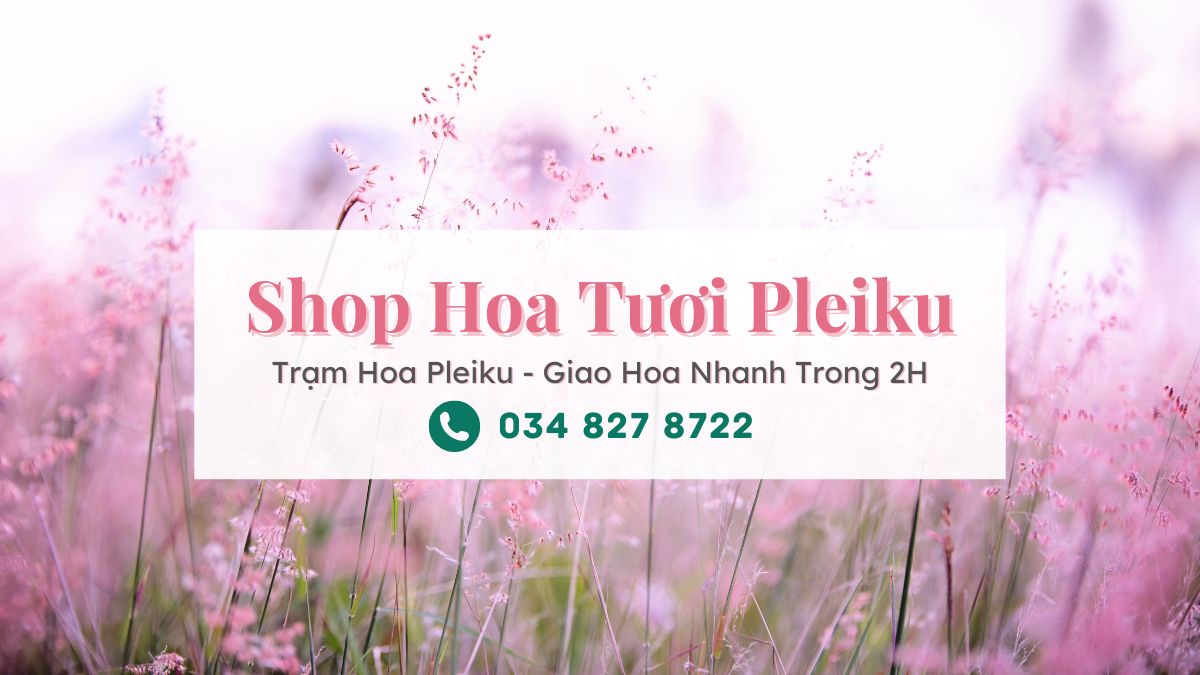 Shop hoa tươi Pleiku Gia Lai - Trạm Hoa Pleiku