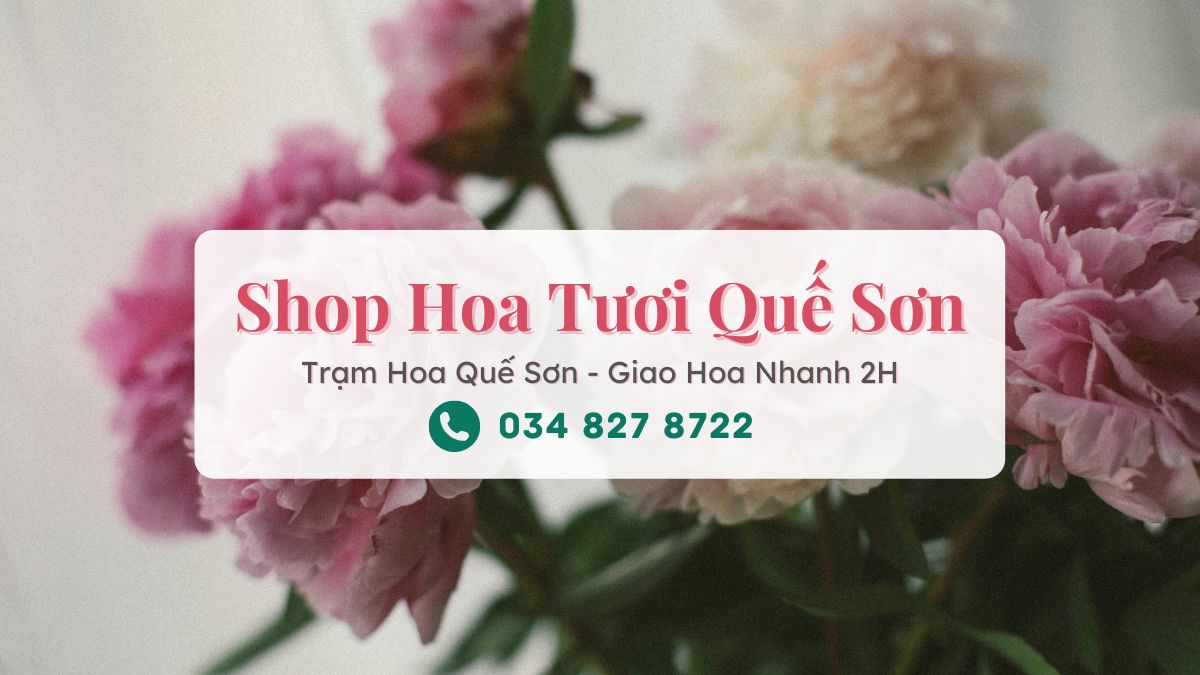 Shop hoa tuoi Que Son Tram Hoa Que Son Shop hoa tươi Quế Sơn - Trạm Hoa Quế Sơn