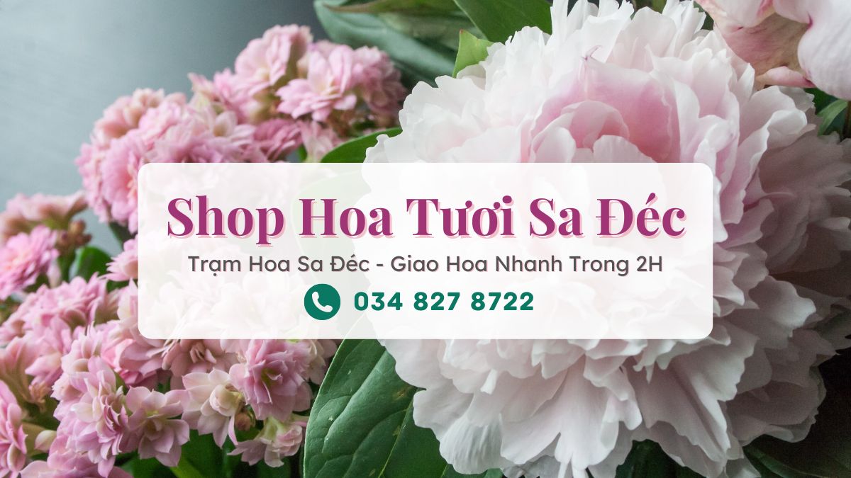 Shop hoa tươi Sa Đéc Đồng Tháp - Trạm Hoa Sa Đéc
