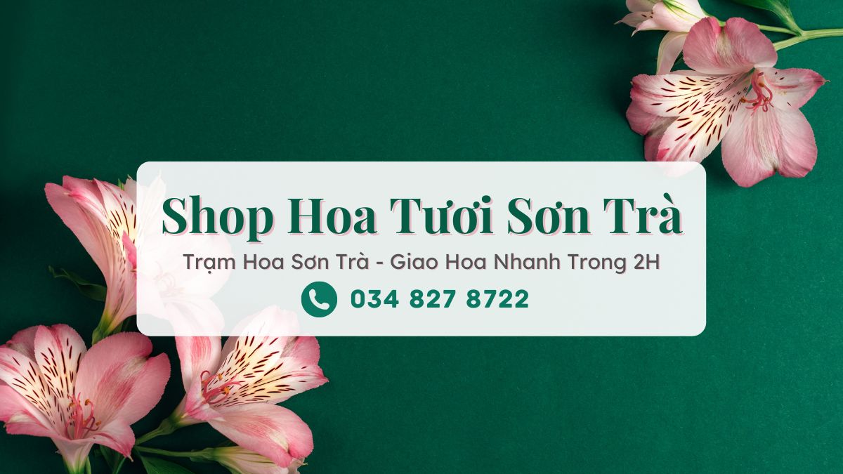 Shop hoa tươi Sơn Trà Đà Nẵng - Trạm Hoa Sơn Trà