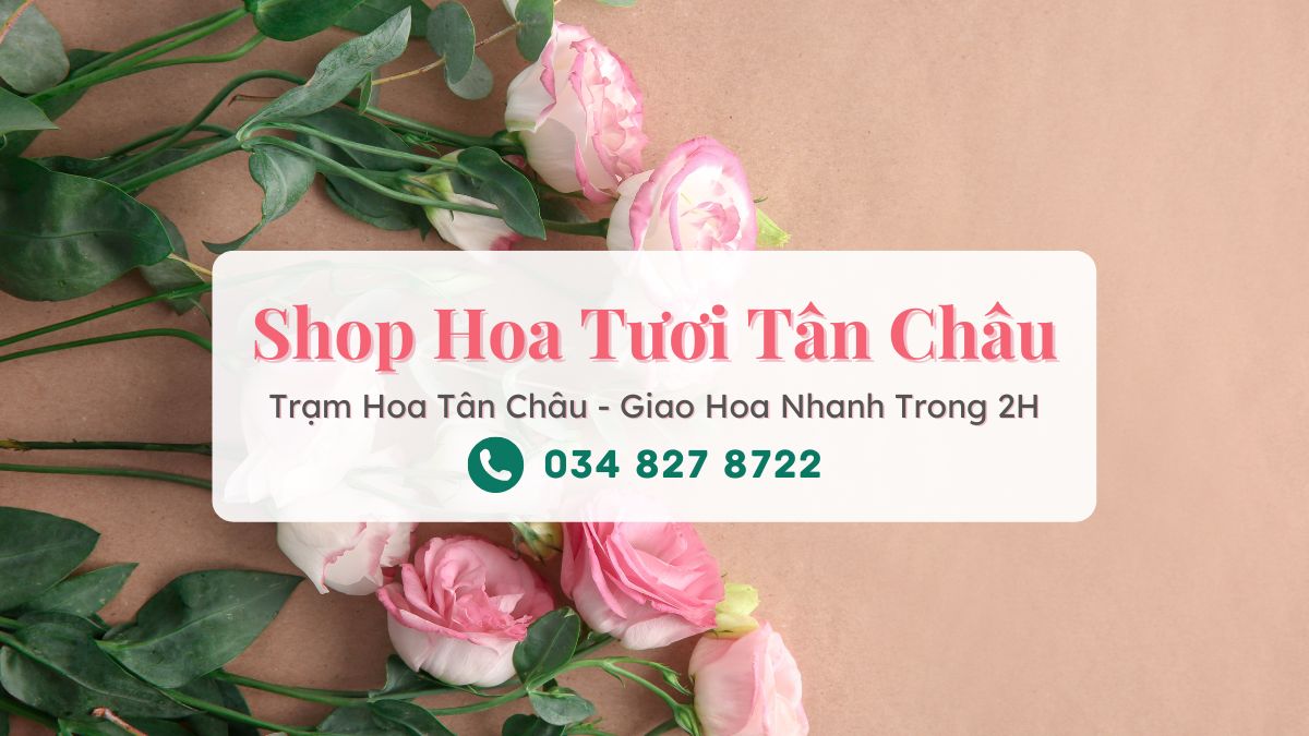 Shop hoa tươi Tân Châu Tây Ninh - Trạm Hoa Tân Châu