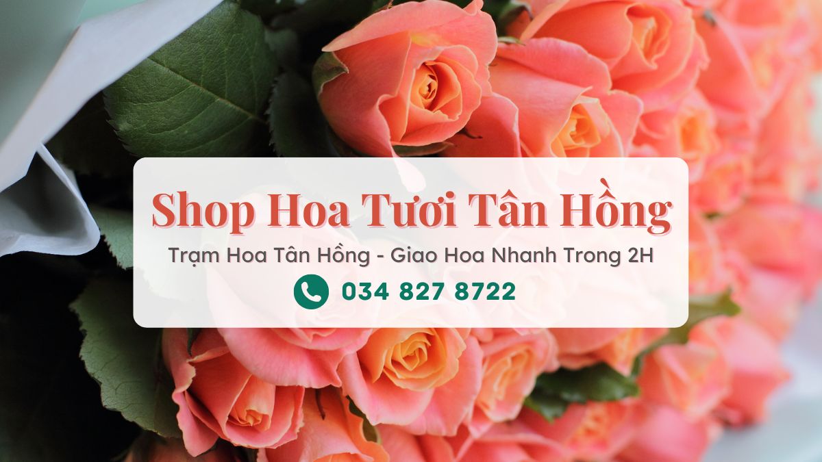 Shop hoa tươi Tân Hồng Đồng Tháp - Trạm Hoa Tân Hồng