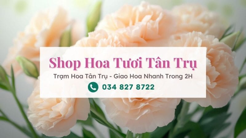 Shop hoa tươi Tân Trụ - Trạm Hoa Tân Trụ