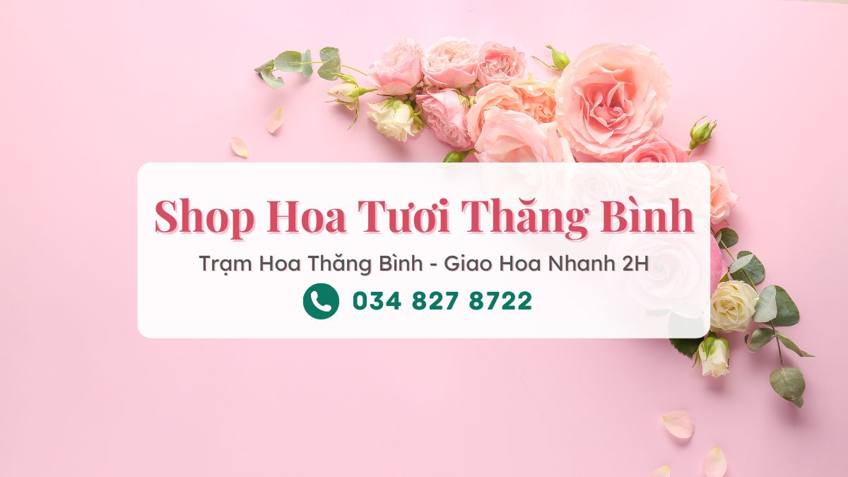Shop hoa tuoi Thang Binh Tram Hoa Thang Binh Shop hoa tươi Thăng Bình - Trạm Hoa Thăng Bình