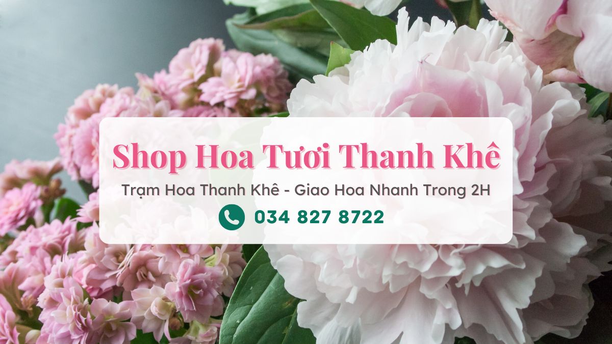 Shop hoa tươi Thanh Khê Đà Nẵng - Trạm Hoa Thanh Khê