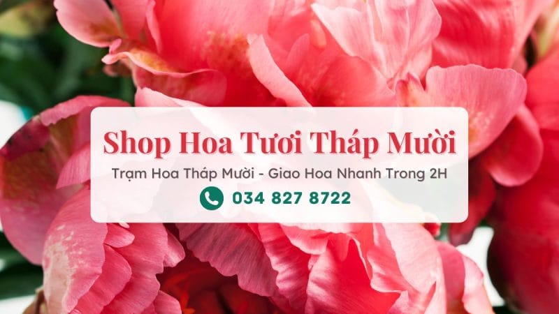 Shop hoa tươi Tháp Mười Đồng Tháp - Trạm Hoa Tháp Mười