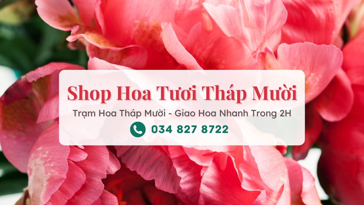 Shop hoa tươi Tháp Mười Đồng Tháp - Trạm Hoa Tháp Mười