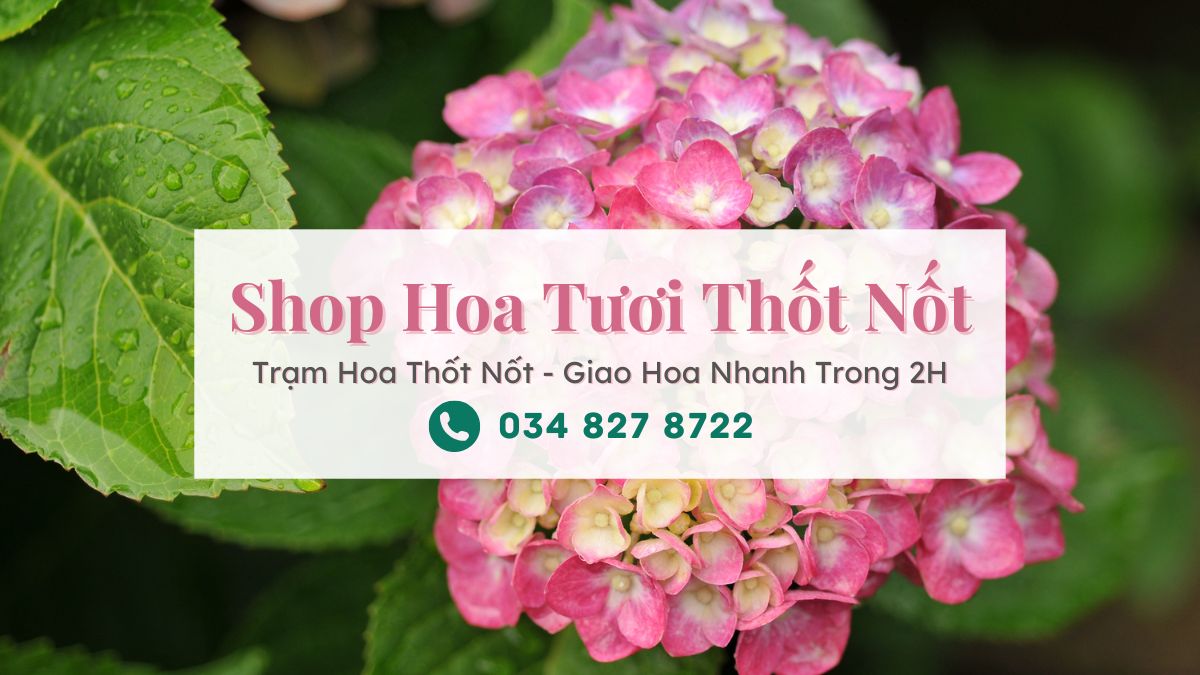 Shop hoa tươi Thốt Nốt - Trạm Hoa Thốt Nốt