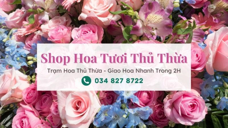 Shop hoa tươi Thủ Thừa - Trạm Hoa Thủ Thừa
